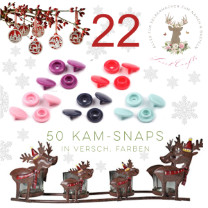 SC_Adventskalender2015_Tag22_Inhalt
